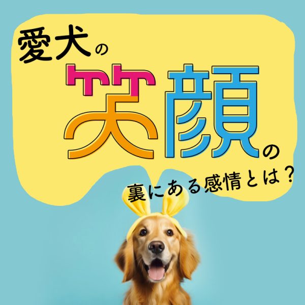 愛犬の笑顔の裏にある感情とは？