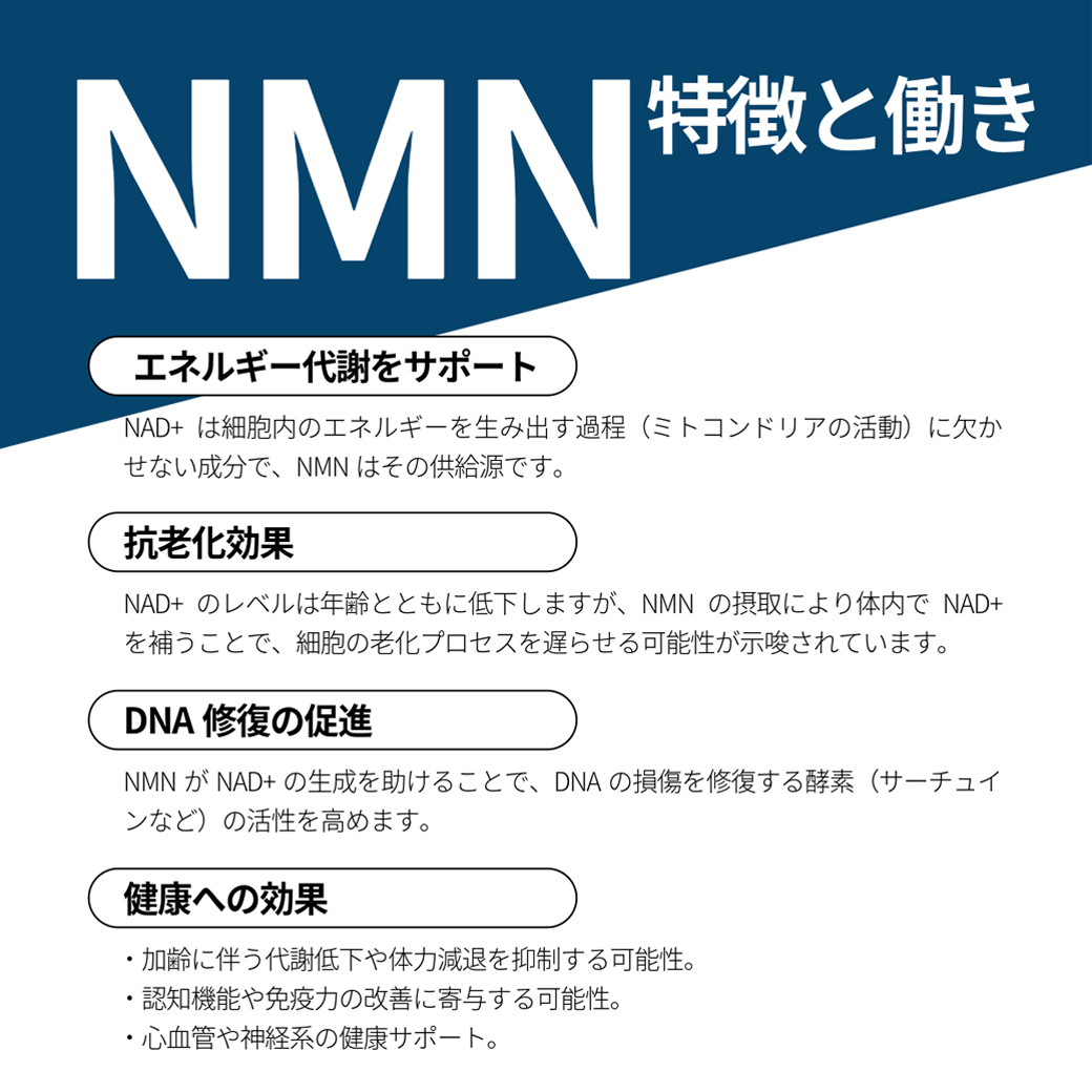 NMN特徴と働き